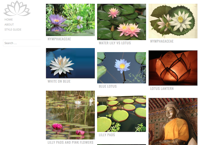 waterlily-theme